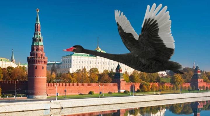 В Чехии надеются на «черный лебедь» и прогнозируют, что России придет конец