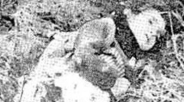 Преступление без срока давности. Резня в Ходжалы